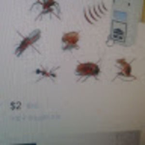 Meet your Posher, Anne